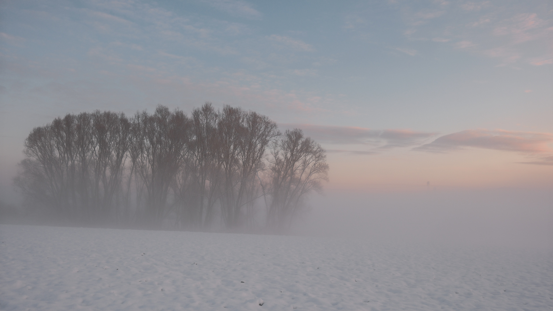 Morgenstimmung im ersten Schnee 