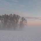 Morgenstimmung im ersten Schnee 