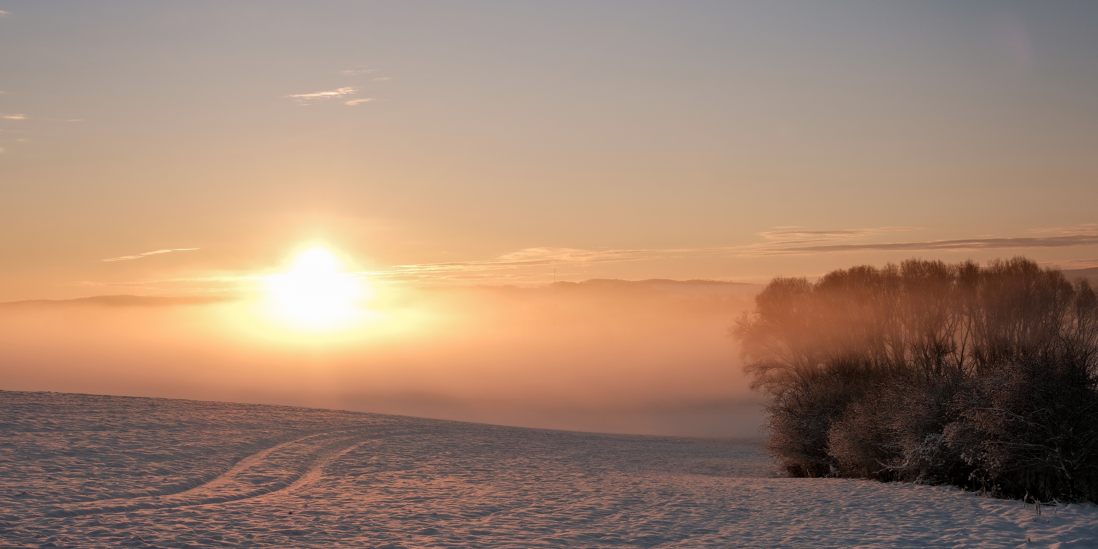 Morgenstimmung im ersten Schnee