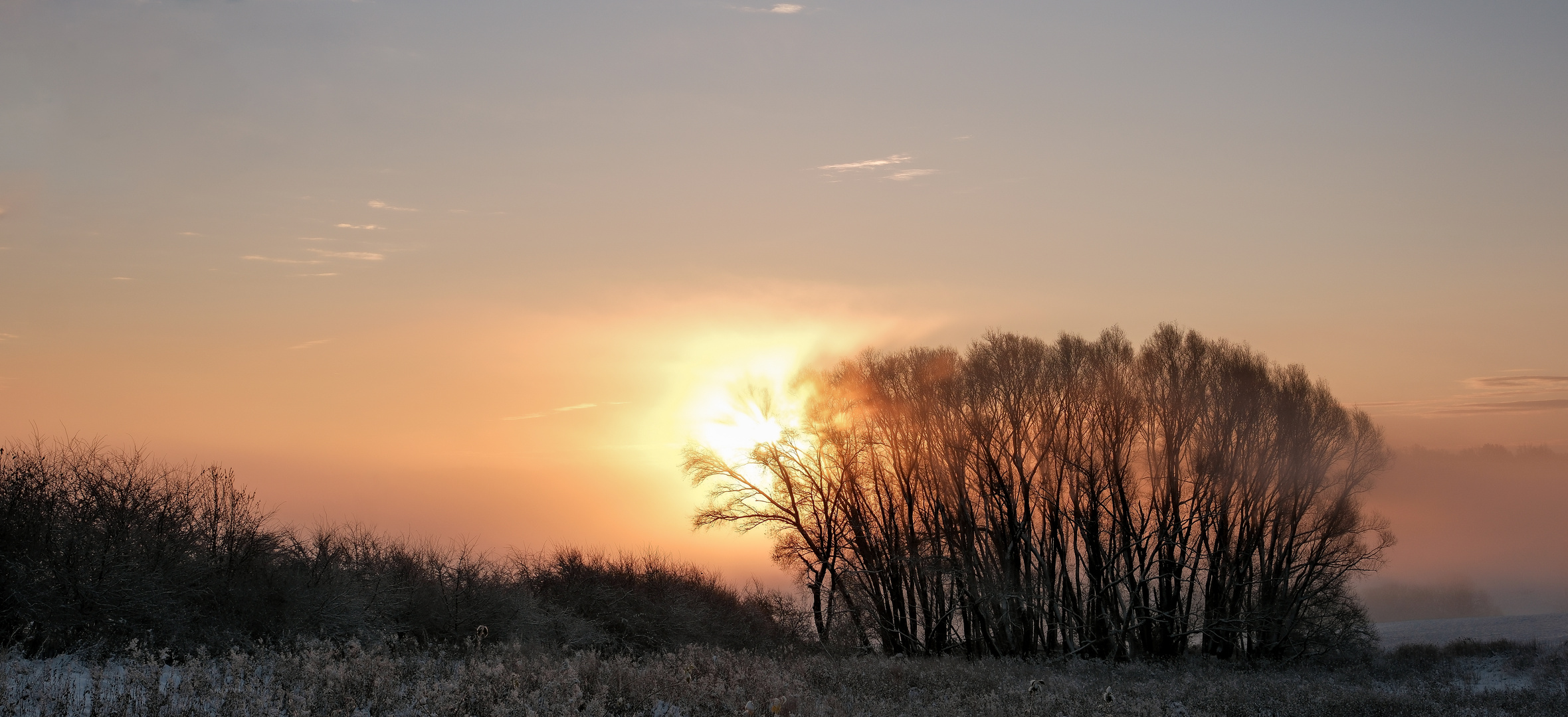 Morgenstimmung im ersten Schnee 