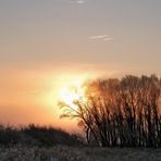 Morgenstimmung im ersten Schnee 