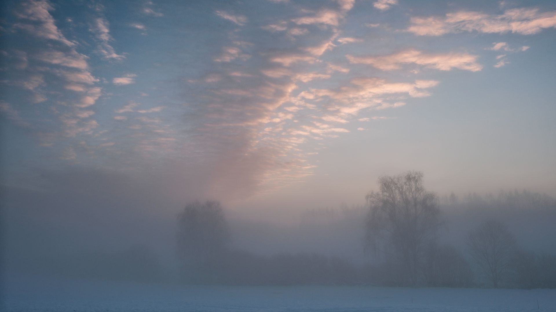  Morgenstimmung im ersten Schnee