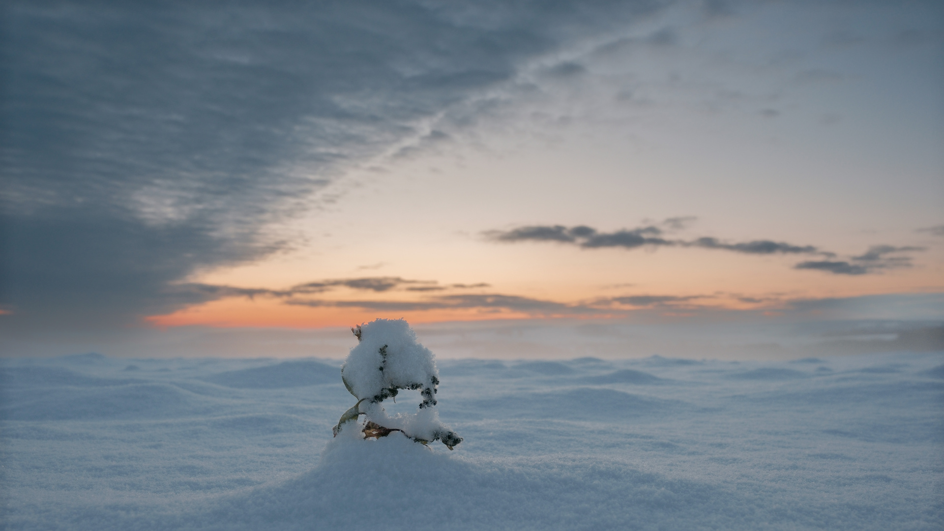 Morgenstimmung im ersten Schnee 