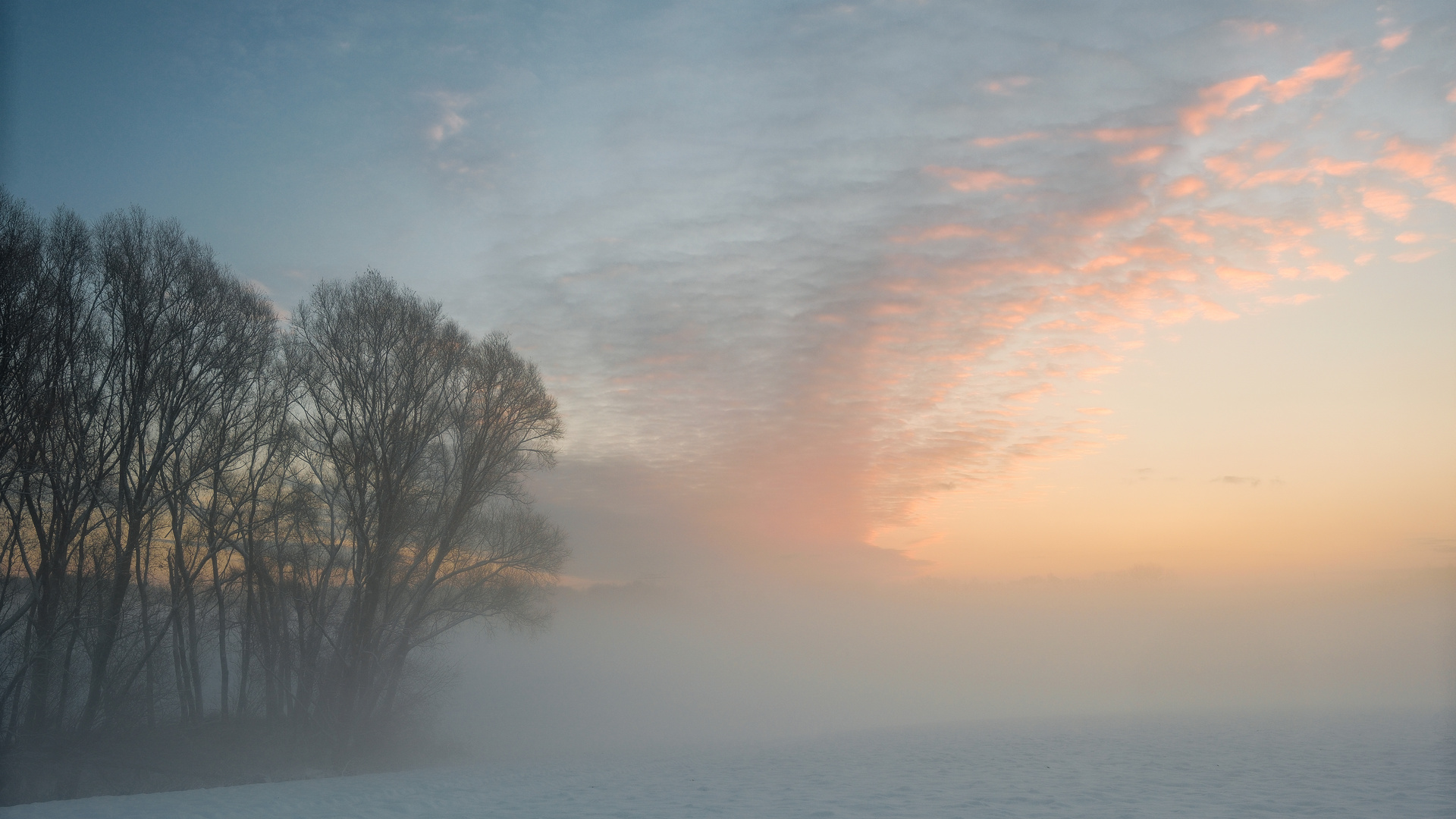 Morgenstimmung im ersten Schnee 