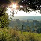 Morgenstimmung im Erzgebirge