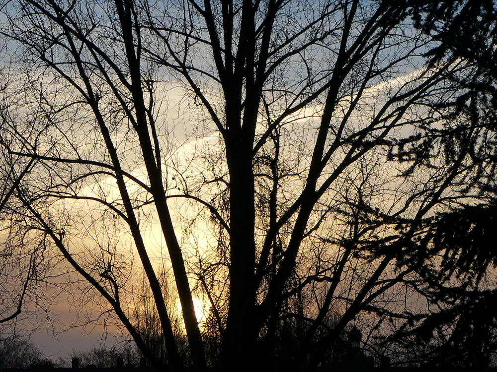 Morgenstimmung im Februar