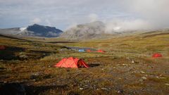 Morgenstimmung im Fjäll