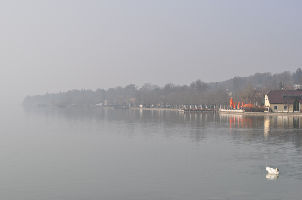 Morgenstimmung im Frühling