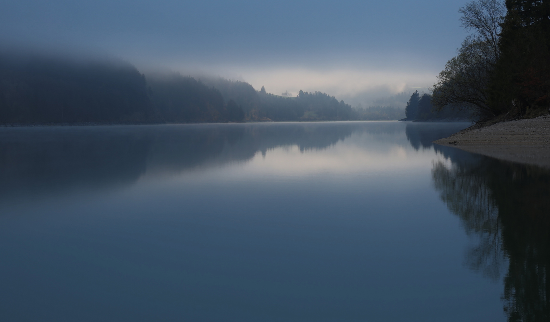 Morgenstimmung im Frühling