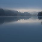 Morgenstimmung im Frühling