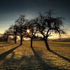 Morgenstimmung im Gäu bei Herrenberg