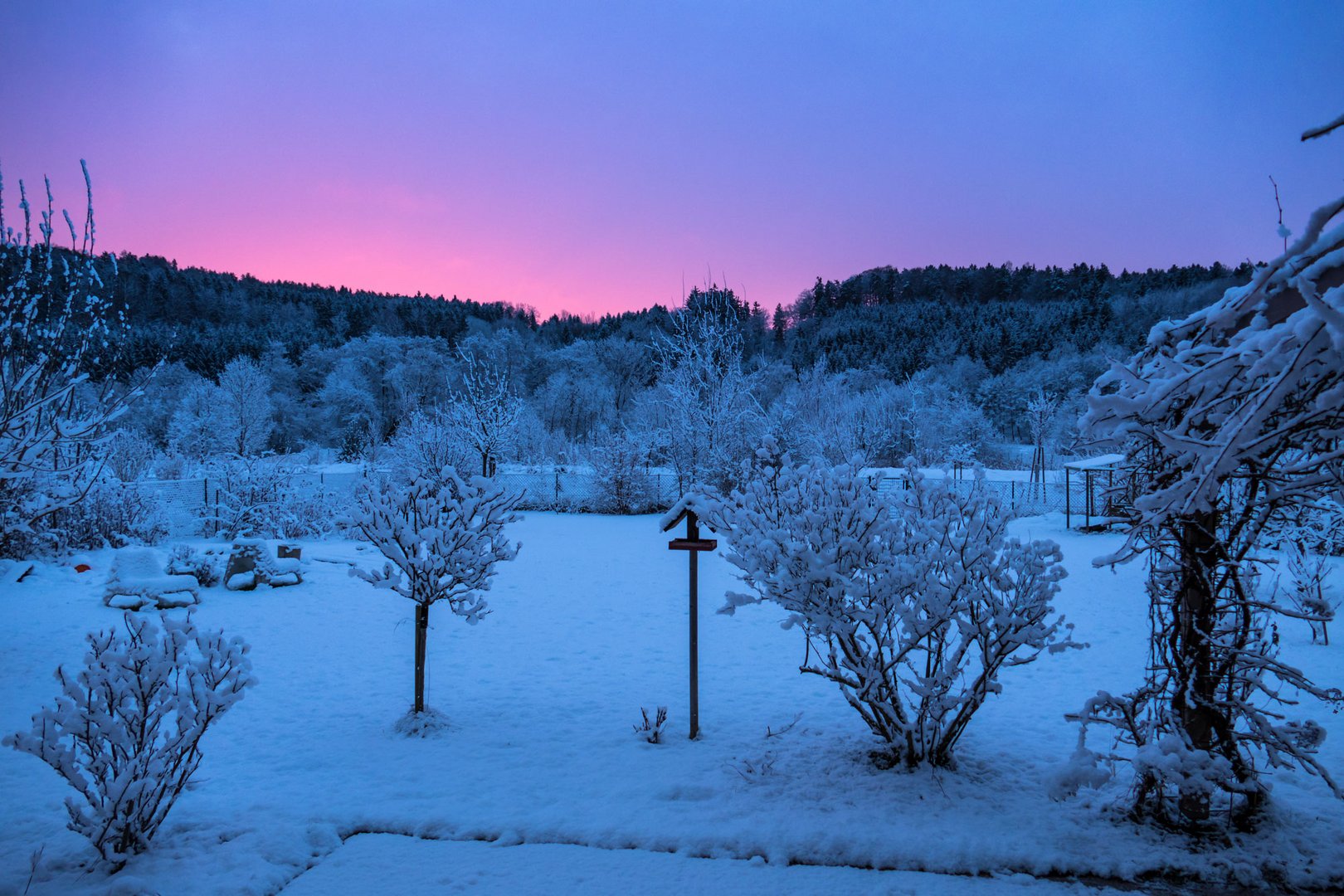 Morgenstimmung im Garten