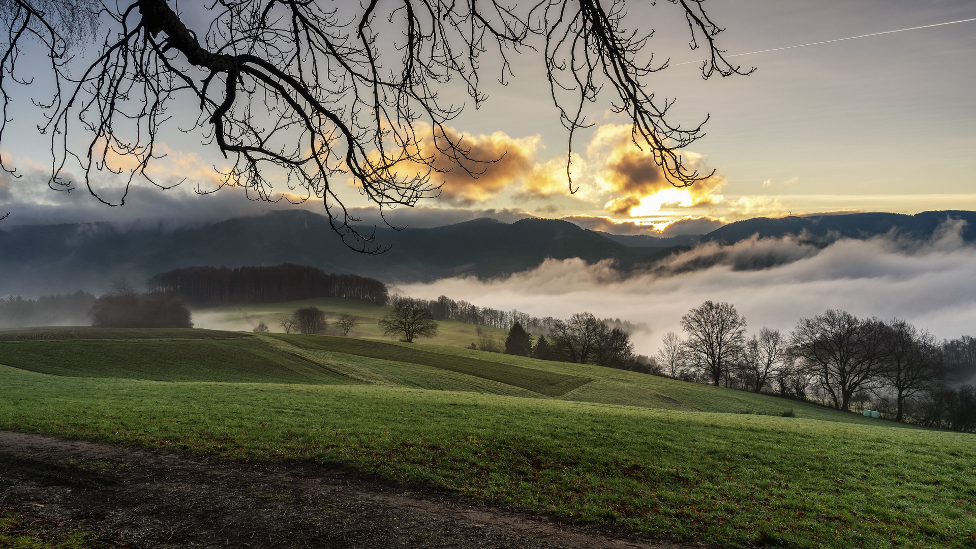 Morgenstimmung im Gegenlicht.