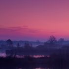 Morgenstimmung im Großen Torfmoor - Hille