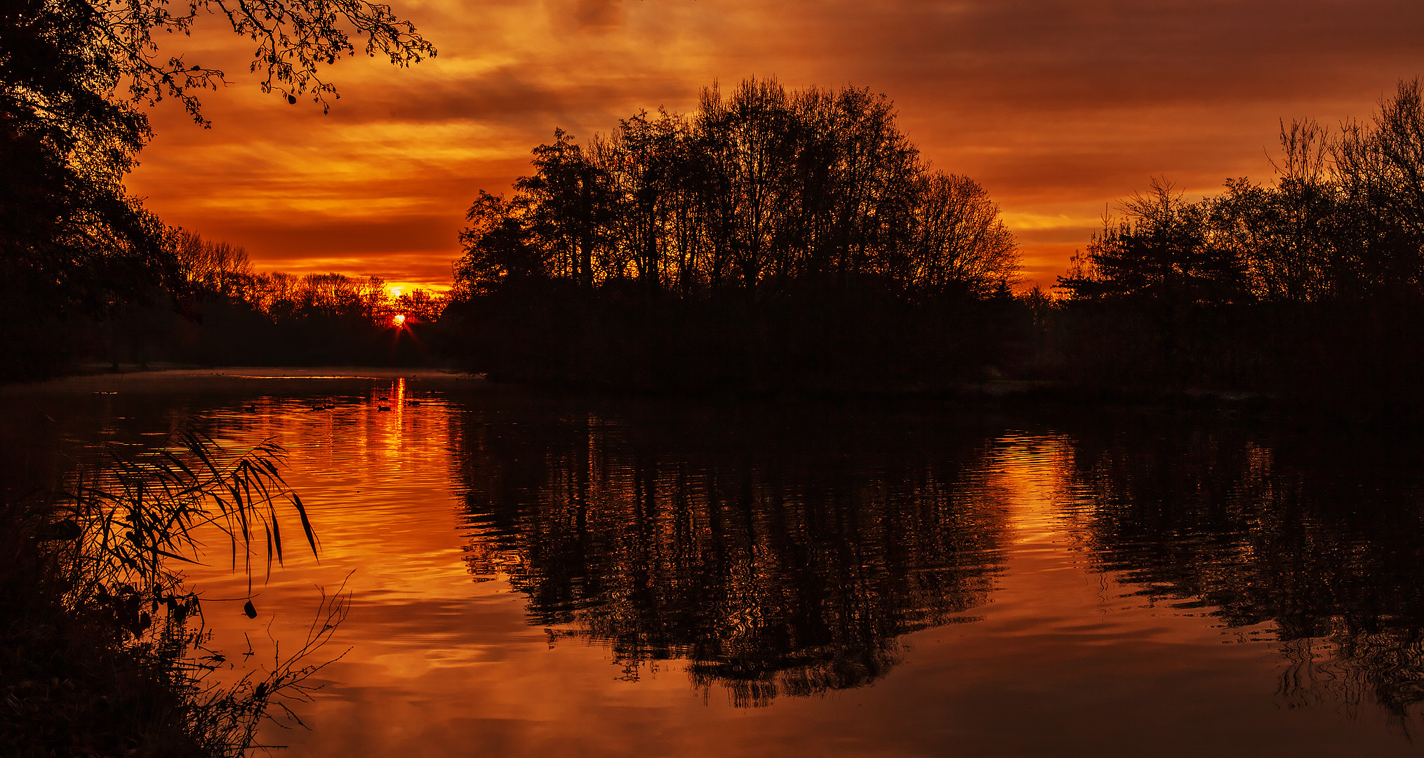 Morgenstimmung im Grünen-Winkel 001