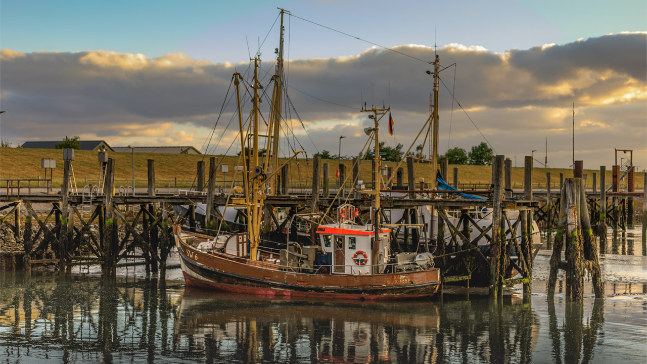 Morgenstimmung im Hafen auf Föhr