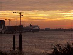 Morgenstimmung im Hafen