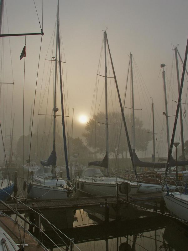 Morgenstimmung im Hafen