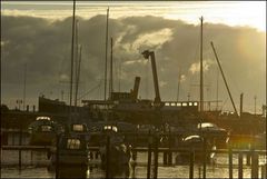 morgenstimmung im hafen von damp