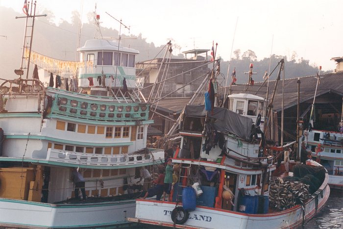 Morgenstimmung im Hafen von Koh Tao/Thailand