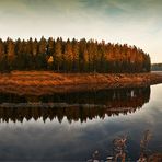 * Morgenstimmung im Harz *