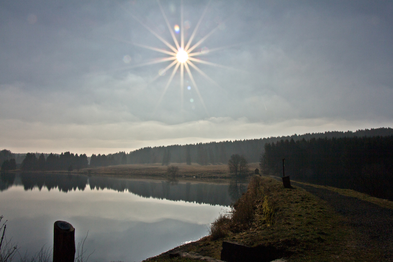 Morgenstimmung im Harz an den Buntenbocker Teichen