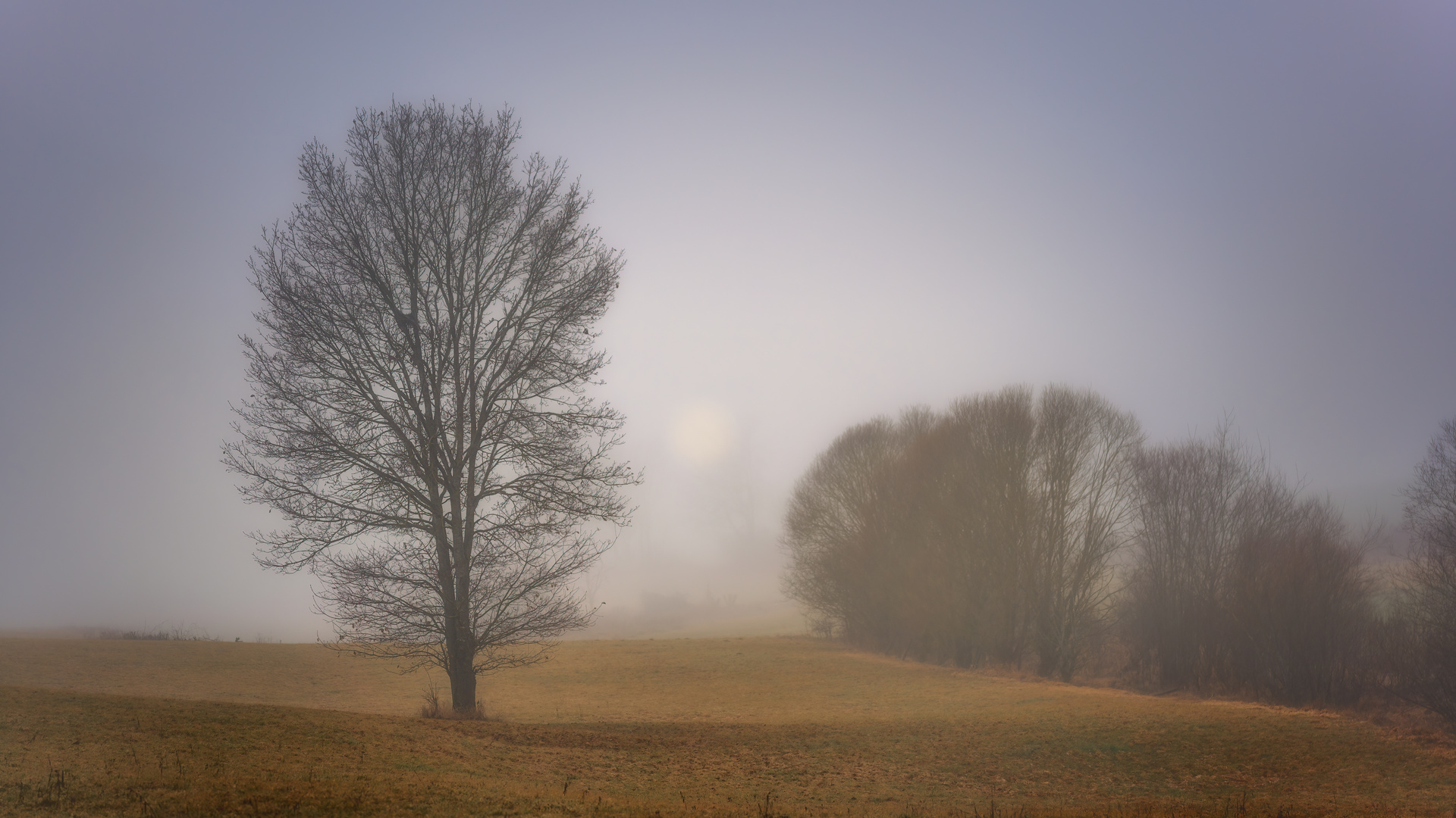 Morgenstimmung im Heckengäu