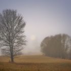 Morgenstimmung im Heckengäu