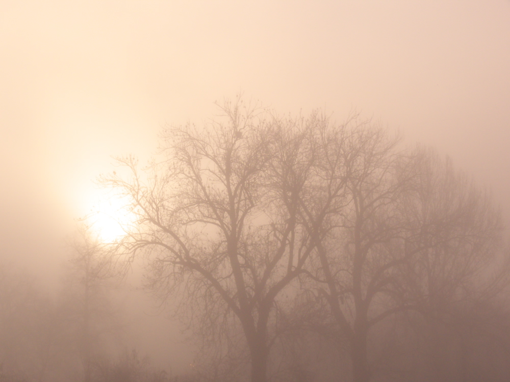 Morgenstimmung im Herbst