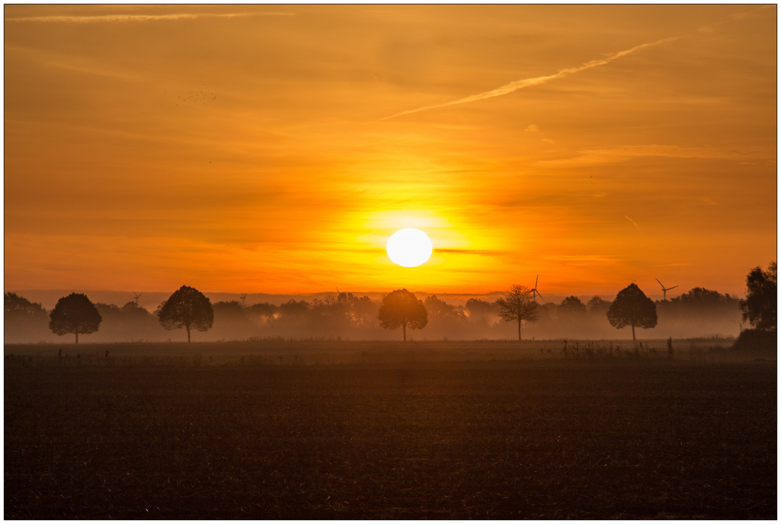 Morgenstimmung im Herbst