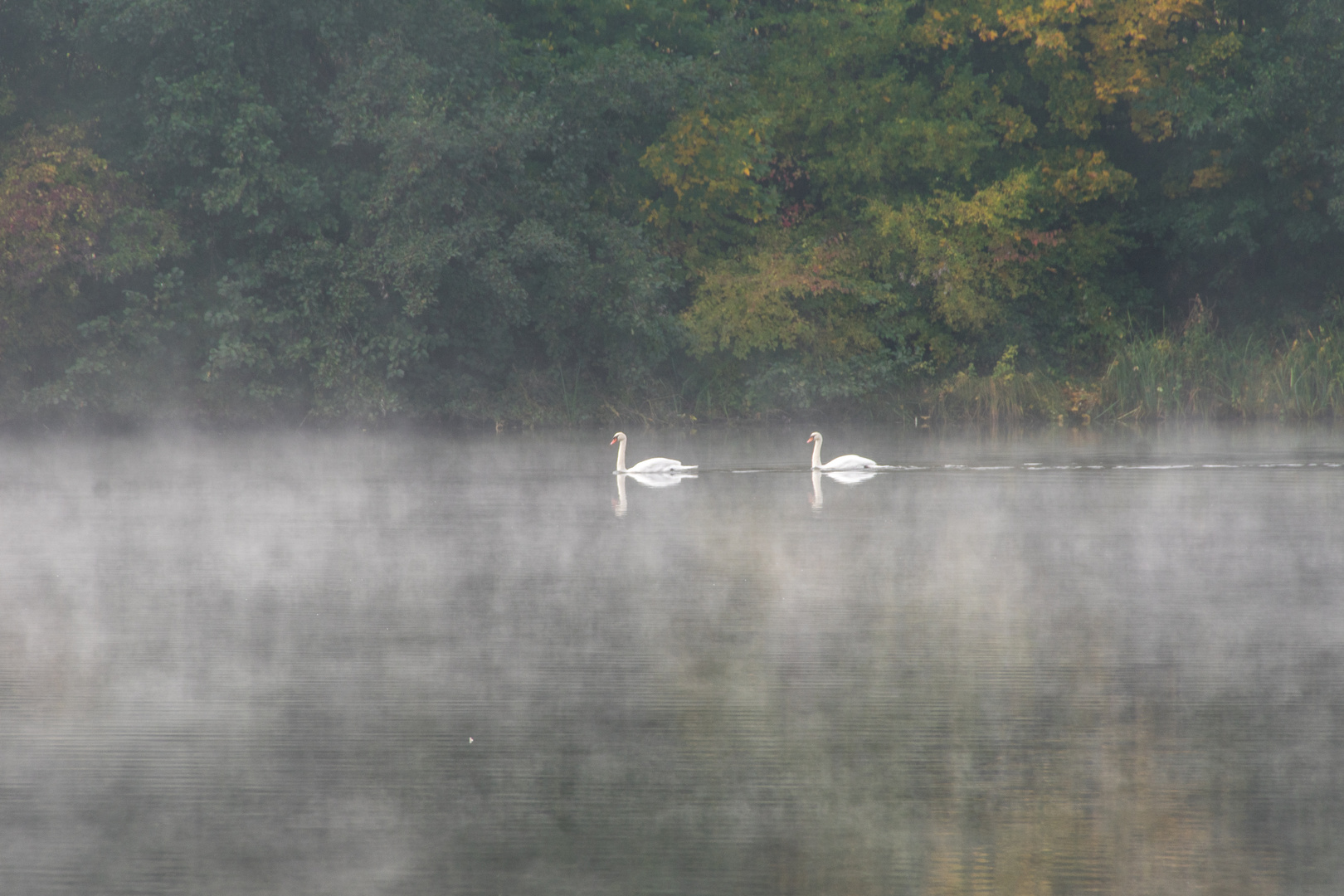 Morgenstimmung im Herbst