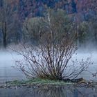 Morgenstimmung im Herbst am Urnersee