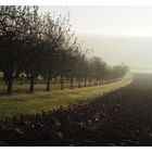 Morgenstimmung im Herbst bei Strümpfelbach