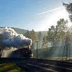 Morgenstimmung im herbstlichen Preßnitztal