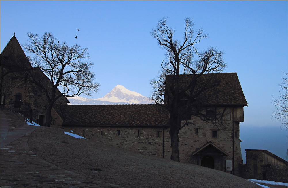 Morgenstimmung im Hof der Burg Gutenberg