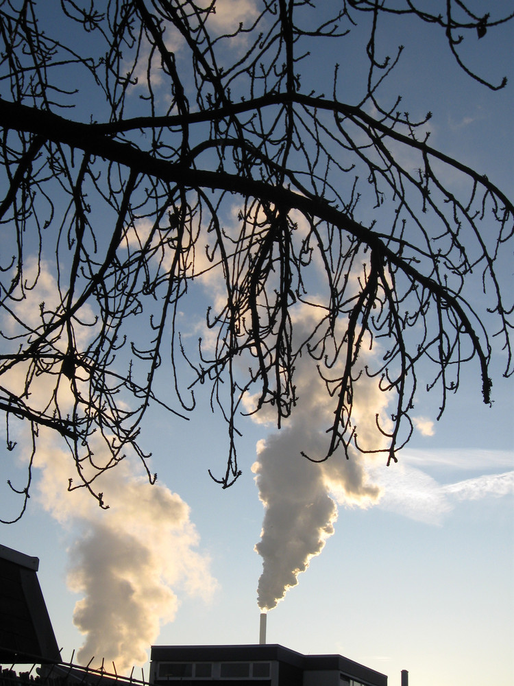 Morgenstimmung im Industriegebiet