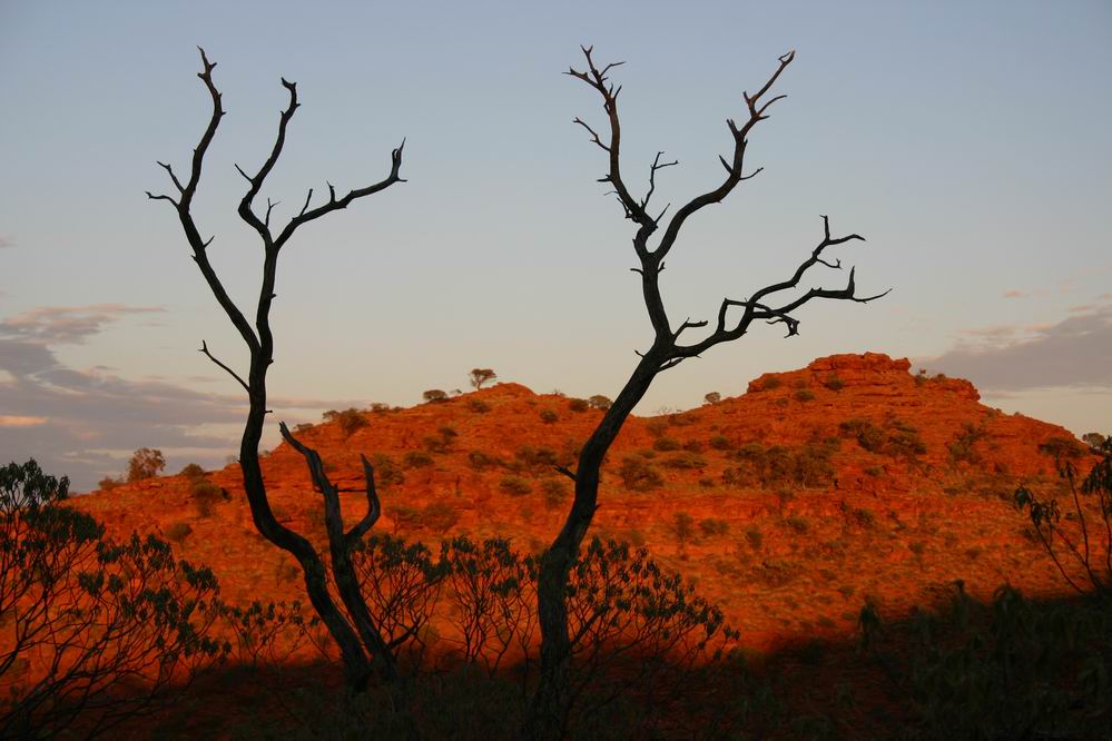 Morgenstimmung im Kings Canyon