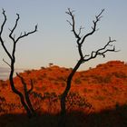 Morgenstimmung im Kings Canyon