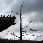 Morgenstimmung im Kloster Amarbayasgalant