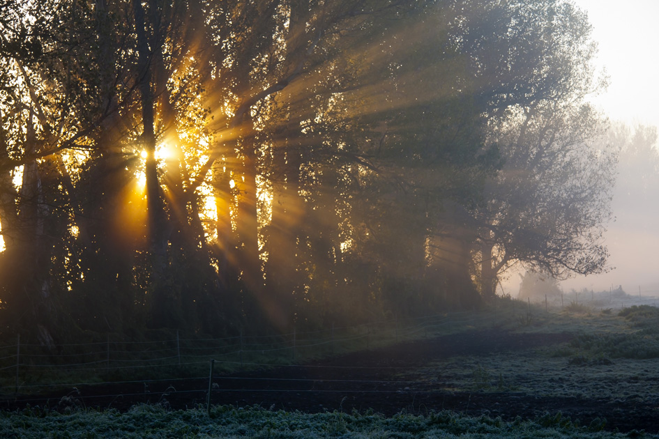 Morgenstimmung im Land Brandenburg