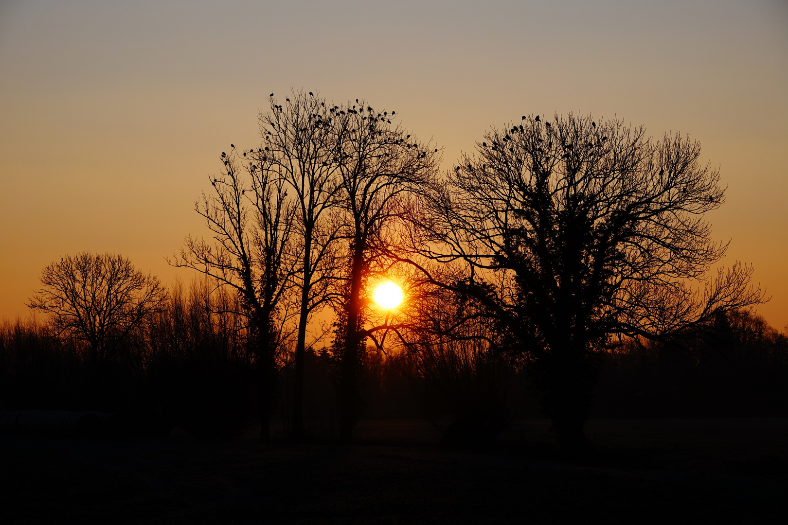 Morgenstimmung im März