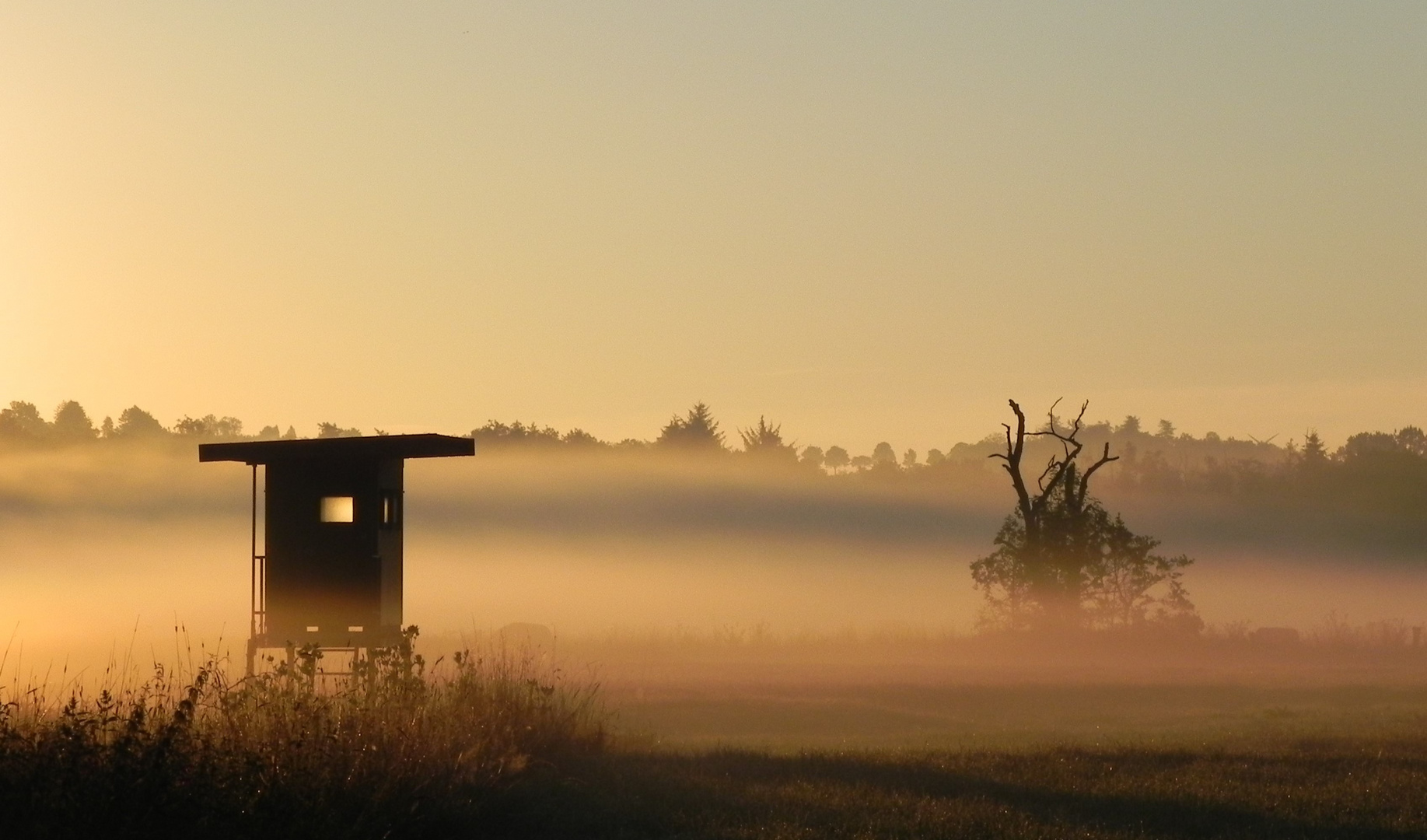 Morgenstimmung im Möhnetal