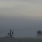 Morgenstimmung im Möhnetal