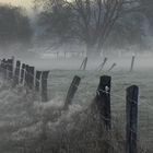 Morgenstimmung im Möhnetal