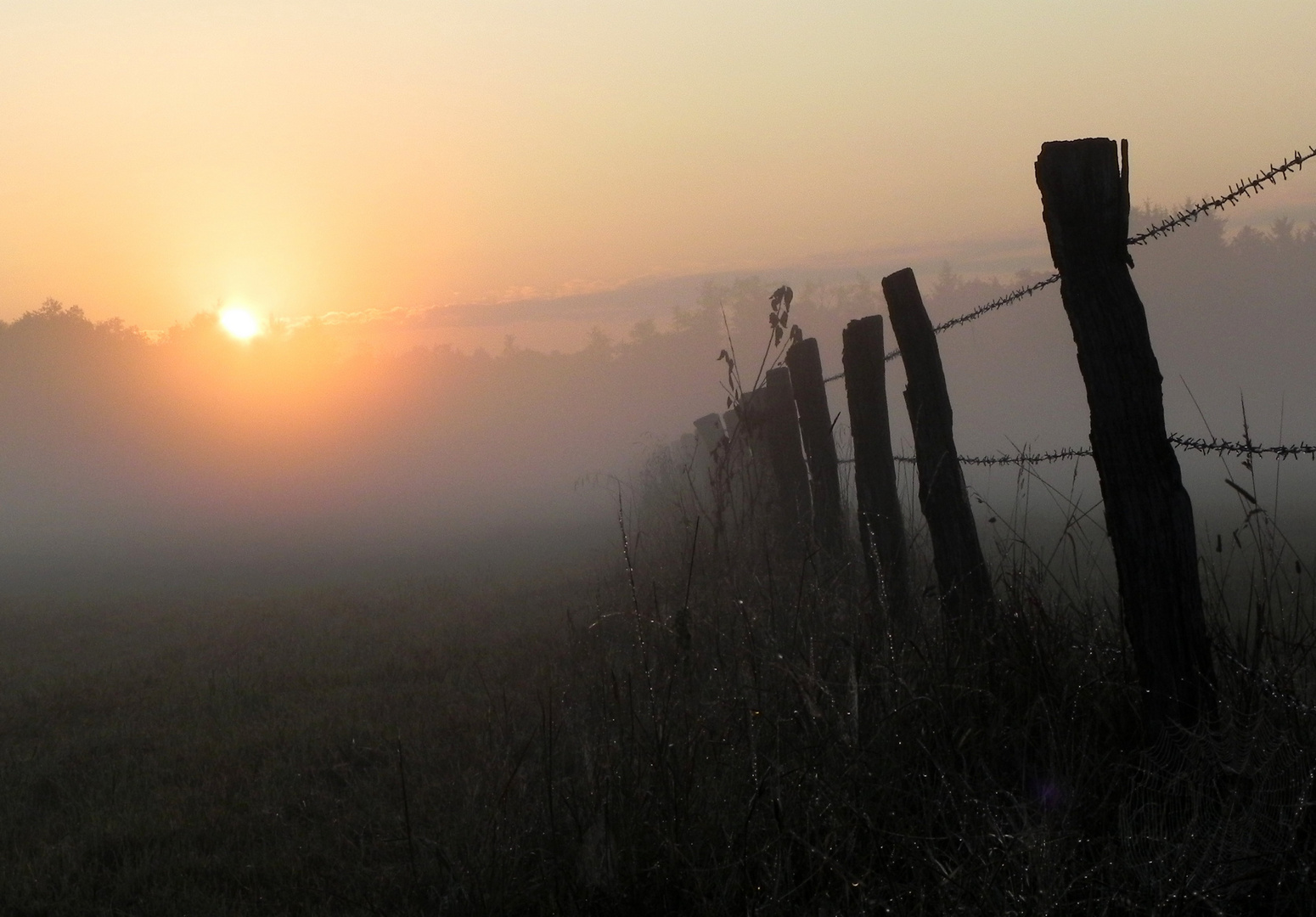 Morgenstimmung im Möhnetal