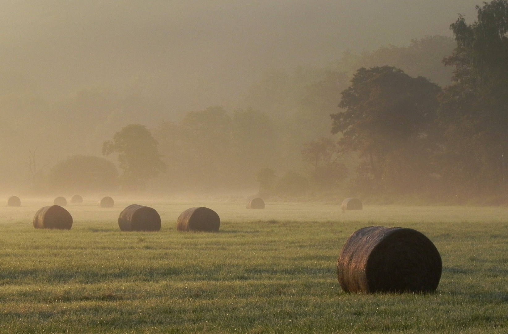 Morgenstimmung im Möhnetal