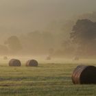 Morgenstimmung im Möhnetal