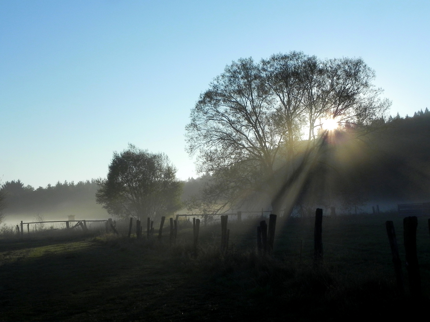 Morgenstimmung im Möhnetal