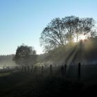 Morgenstimmung im Möhnetal