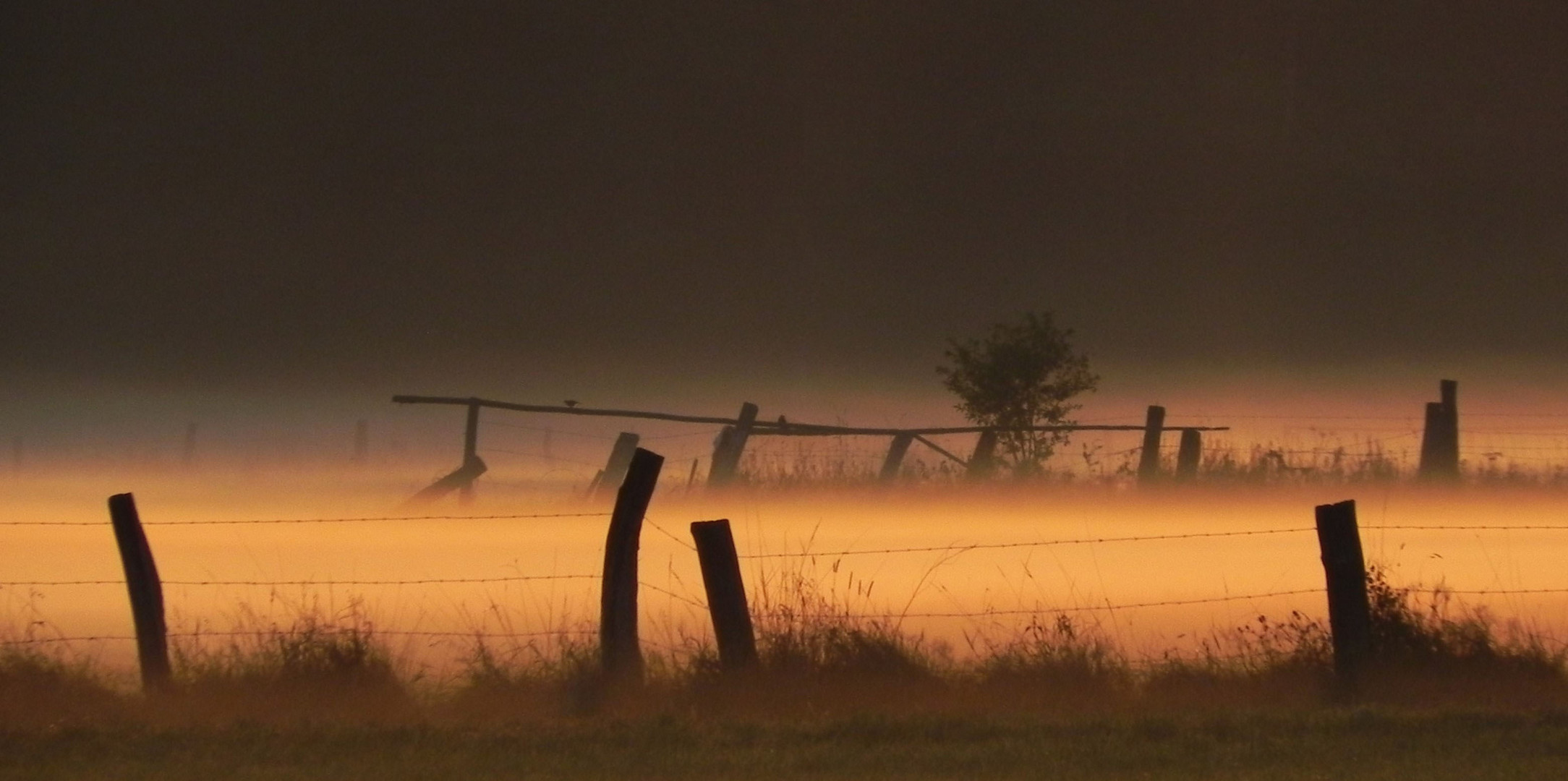 Morgenstimmung im Möhnetal